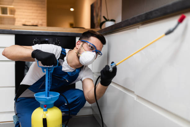 Reliable West Valley City, UT Pest Control Solutions