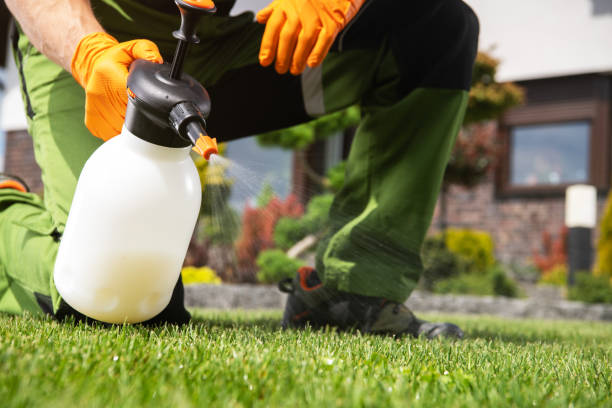 Flea Control Services in West Valley City, UT