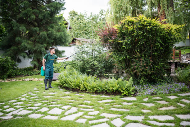 Best Pest Prevention Services  in West Valley City, UT