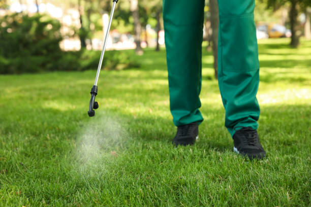 Best Wasp Removal Services  in West Valley City, UT