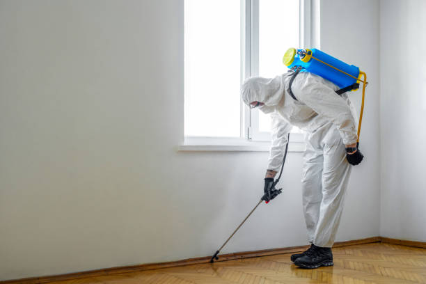 Best Pest Inspection Near Me  in West Valley City, UT