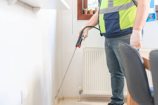 Best Flea Control Services  in West Valley City, UT