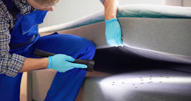 Best Pest Removal Services  in West Valley City, UT