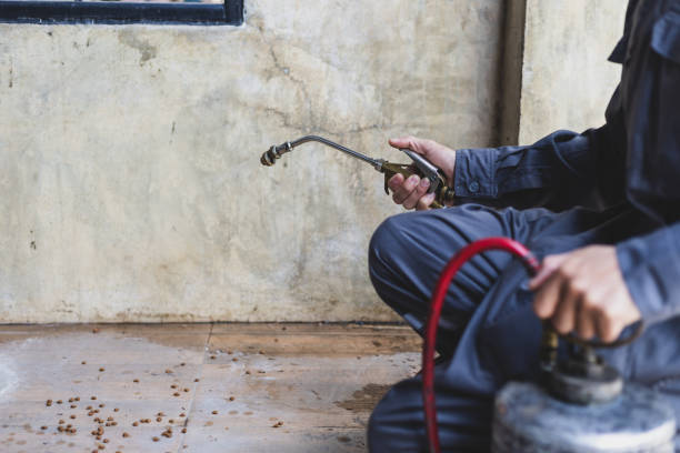 Best Rat Extermination Near Me  in West Valley City, UT